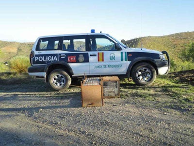 La Policía adscrita a la Junta se incauta de jaulas y cepos de caza ilegales en las localidades almerienses de Adra y Senés