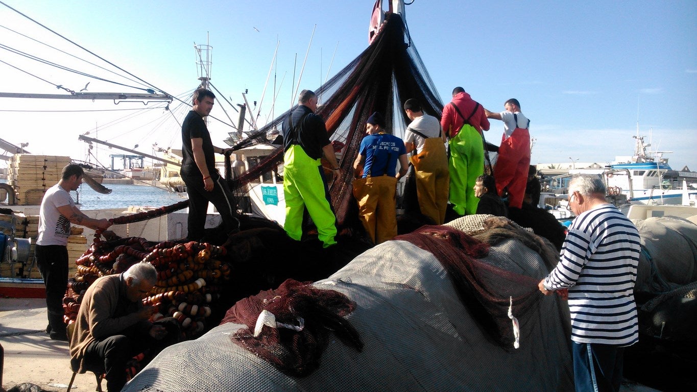 La flota abderitana registra 40 ataques de delfines en los tres últimos meses