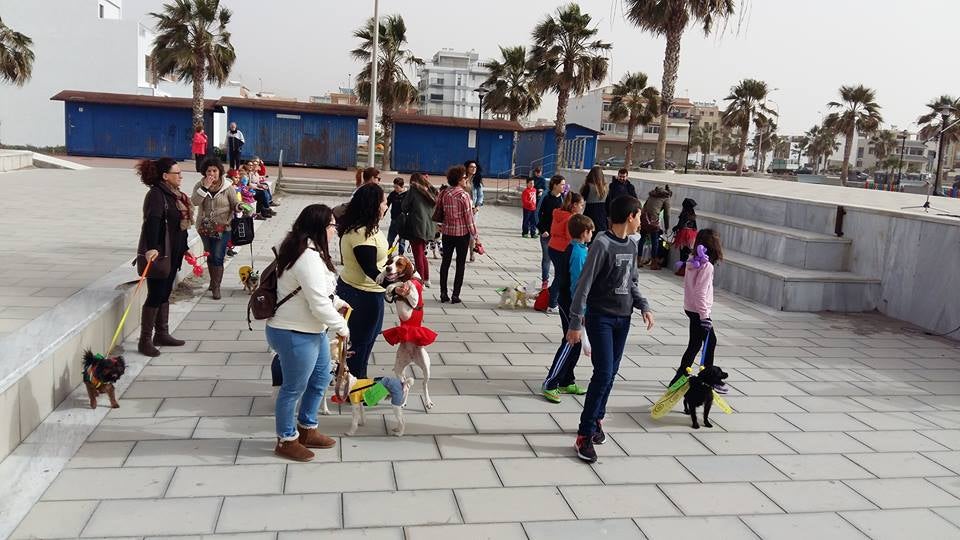 Los perros se disfrazan en adra por una buena causa