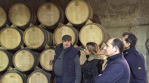 Diputación apuesta por la promoción del sector vitivinícola de la provincia