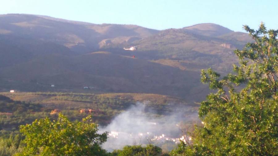 El incendio se originó antes de las once de la mañana de ayer. 