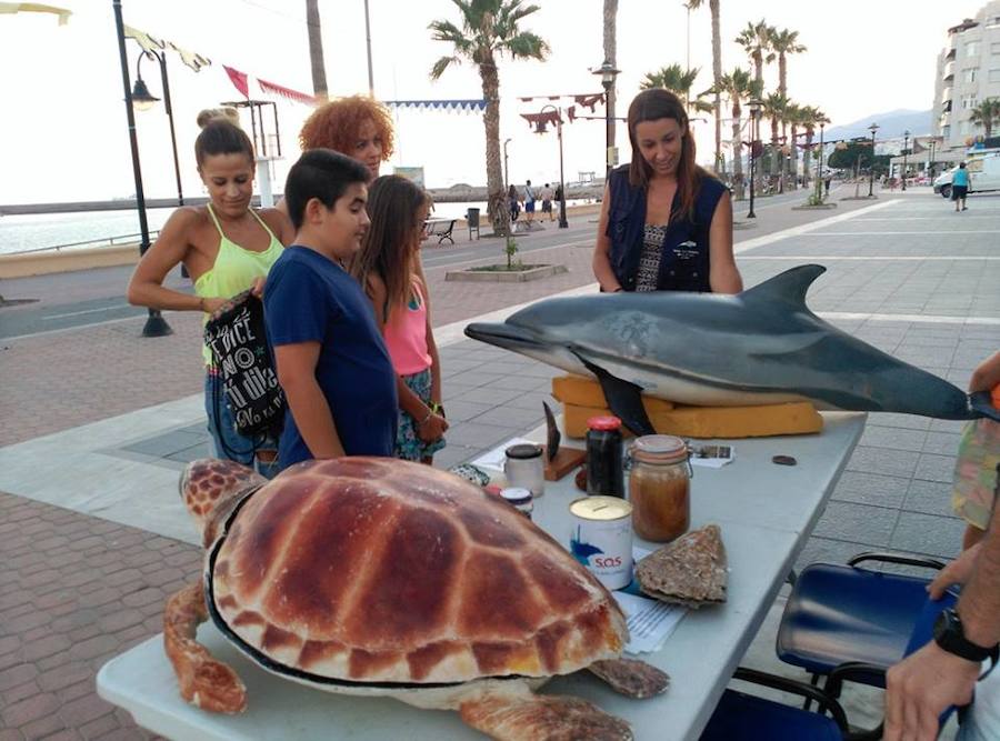 La costa, un ‘mar de plástico’ latente