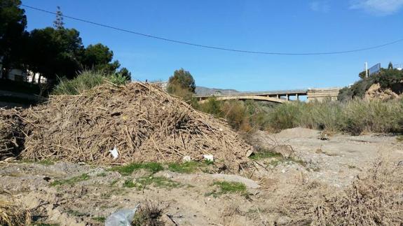 El río Adra, 'anegado' por más de 15.000 toneladas de basura y residuos vegetales