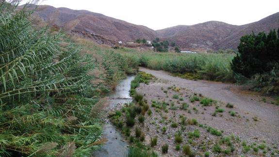 PSOE y PP piden juntos al Gobierno que encauce el río Adra