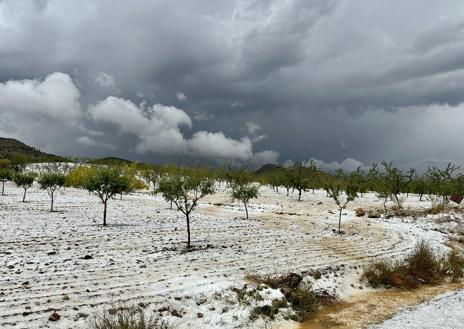 Imagen secundaria 1 - Instantáneas de la granizada de hoy en Oria