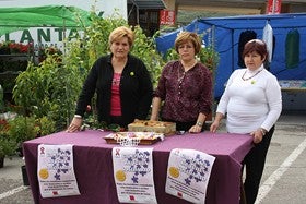 Las mujeres de Serón extienden una campaña solidaria para los afectados por el terremoto de Lorca