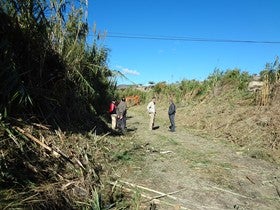 Limpieza de la Rambla de Olula del Río