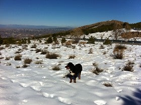 Activado el dispositivo especial para afrontar las nevadas previstas en Granada, Jaén, Almería, Málaga y Córdoba