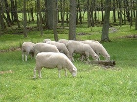Curso en Oria sobre biocidas para la higiene veterinaria