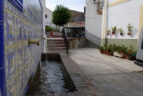 Alcóntar adoptará urbanitas huerfános de pueblo