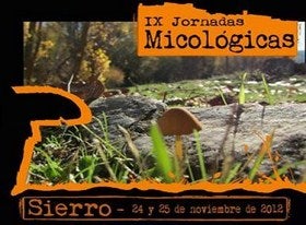 Sierro se prepara para ser el epicentro de mundo micológico, en sus IX jornadas