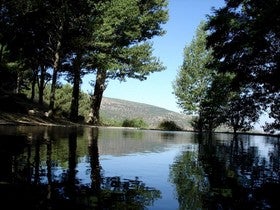 La agricultura del Poniente busca abrise paso en el  Valle del Almanzora