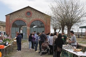 La biodiversidad en el Valle del Almanzora, clave del pasado imprescindible en el futuro