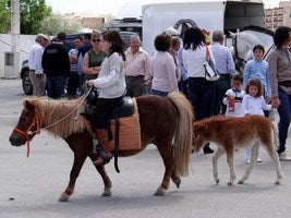 Albox acoge la tradicional Feria de Ganado Equino