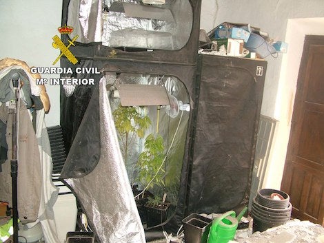 Acuden en auxilio por una explosión en una vivienda de Serón y encuentran una plantación de marihuana