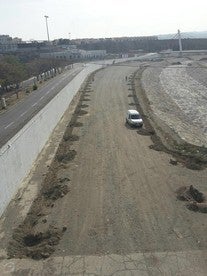 El Ayuntamiento de Albox comienza los trabajos de embellecimiento de la rambla con la plantación de 300 árboles
