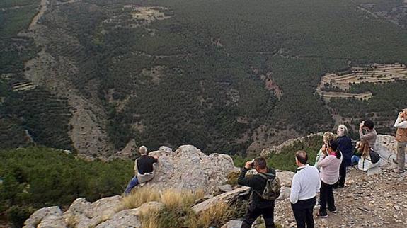 El ciervo rojo atrae de nuevo en Filabres las visitas de los amantes de la naturaleza