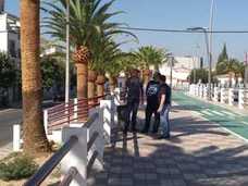 Medio Ambiente controla las plagas en las palmeras que provoca el 'picudo rojo'