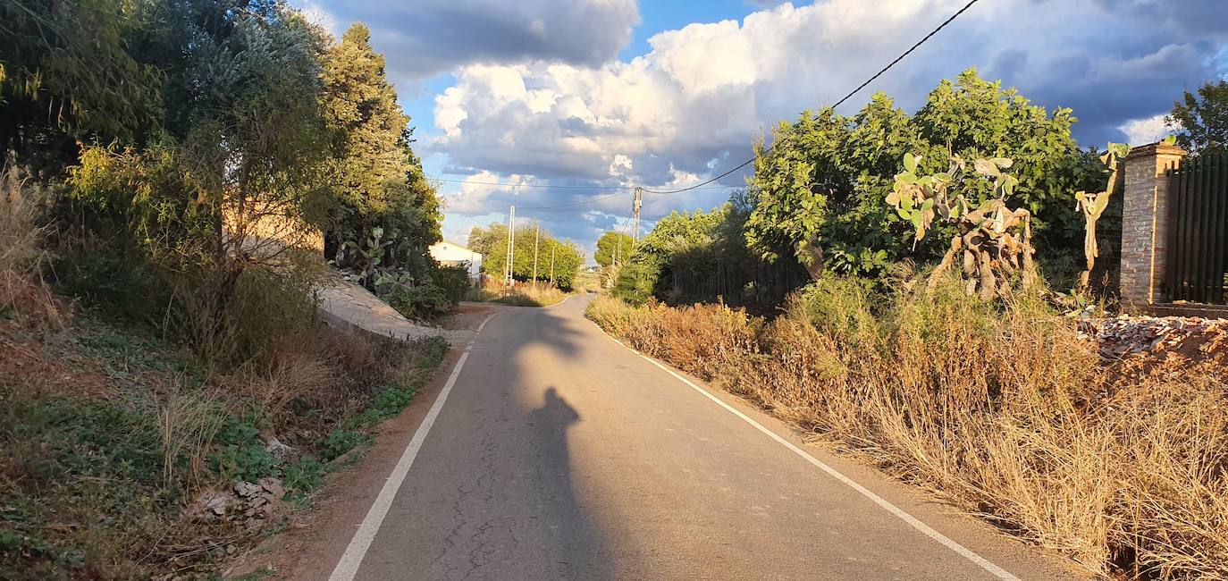 Camino de Los Rubiales. 