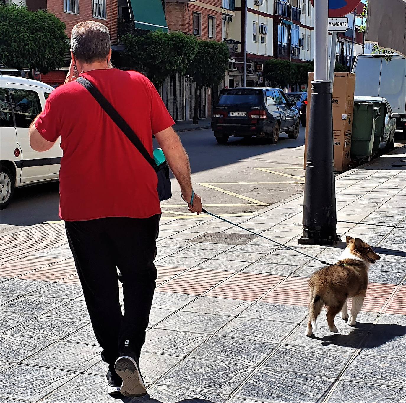 Varias áreas municipales se unen para evitar los excrementos de las mascotas