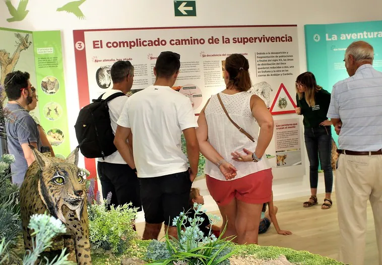 El Ecomuseo afianza a Andújar como referente en la conservación del lince