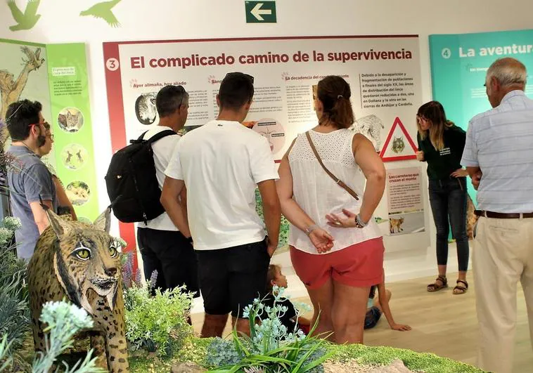 El Ecomuseo afianza a Andújar como referente en la conservación del lince