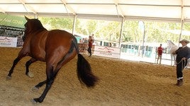 Concursante en la zona de calentamiento.