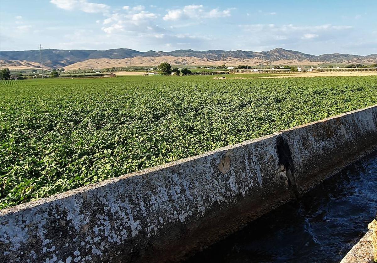 El año hidrológico se queda en los 361 litros de precipitaciones