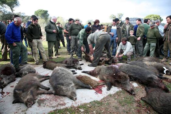 La sequía amenaza con mermar a la mitad la actividad montera en Andújar