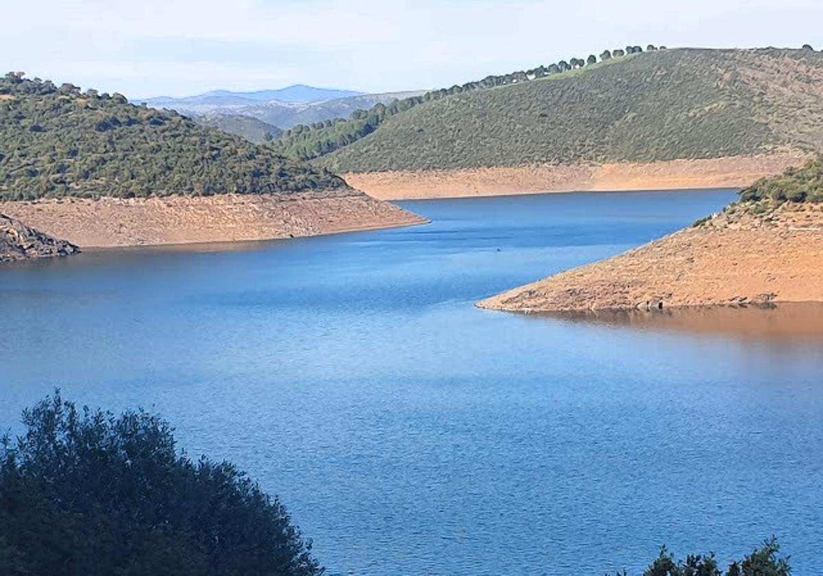 Las últimas lluvias preconizan la salvación de las cosechas en la zona