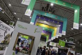 Ambiente en la IX Feria de los Pueblos.