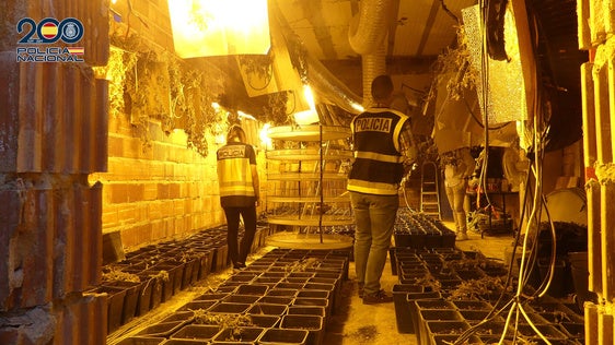 LA POLICÍA DURANTE LAS LABORES DE INCAUTACIÓN.