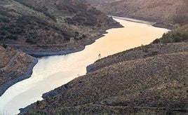 Aspecto que presentaba la cola del pantano el día 27 de julio.