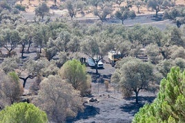 Operarios trabajando aún en la zona de fuego.