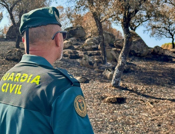La Benemérita traerá medios avanzados para esclarecer el fuego de la sierra