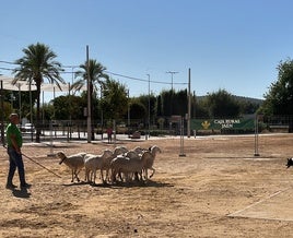 EXHIBICIÓN DE PASTOREO.
