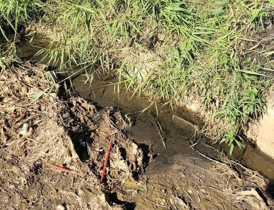 ESTADO DEL ARROYO MESTANZA.