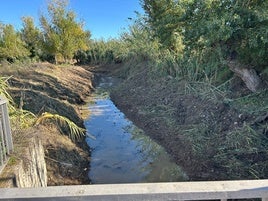 TAREAS DE LIMPIEZA EN ARROYO MESTANZA.