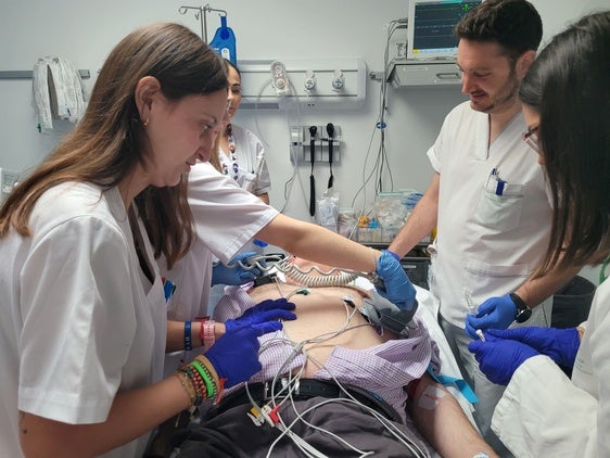 LOS PROFESIONALES EN UN CASO DE ATENCIÓN.