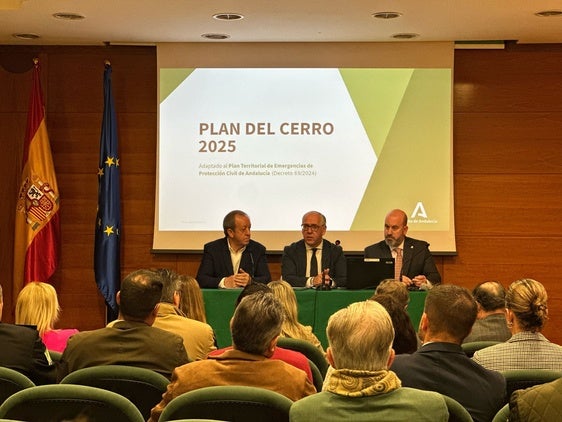 La Junta constituye formalmente los grupos estructurales de trabajo del Plan del Cerro