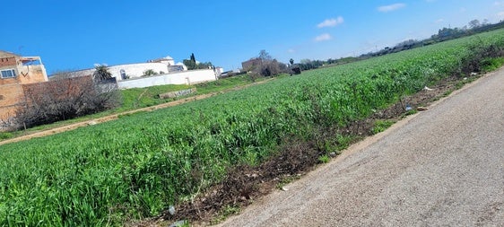Polémica en Andújar entre Andalucía Por Sí y Vox a cuenta del EDIL