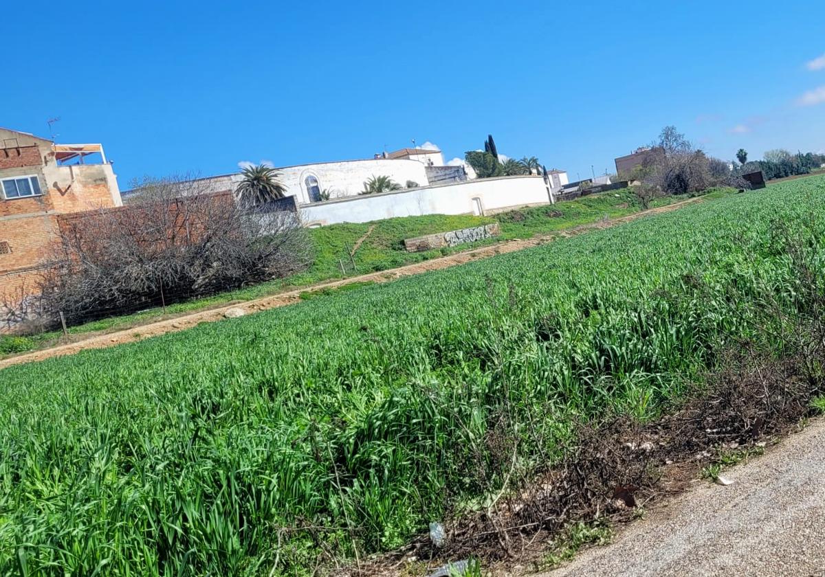 ENCLAVE DE LA FACHADA SUR, CUYO ARREGLO VIENE REFLEJADA EN LA SOLICITUD AL EDIL