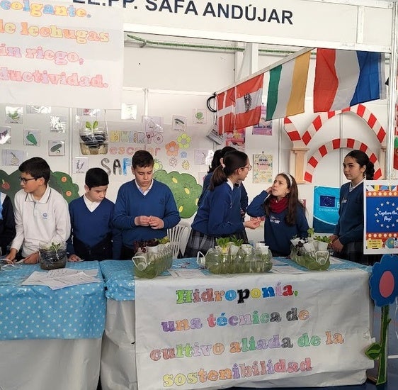 Descubrir nuevas sensaciones a través del aprendizaje