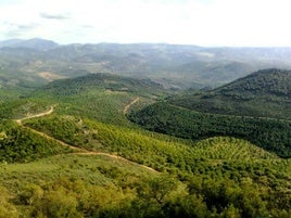Vías pecuarias que cruzan la serranía andujareña.