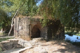 MOLINO DE LAS ACEÑAS.