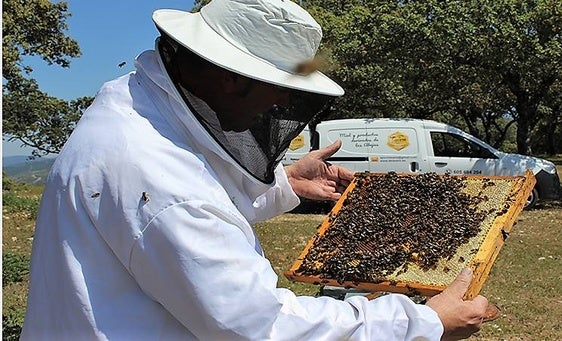 El patrimonio de la cocina tradicional V
