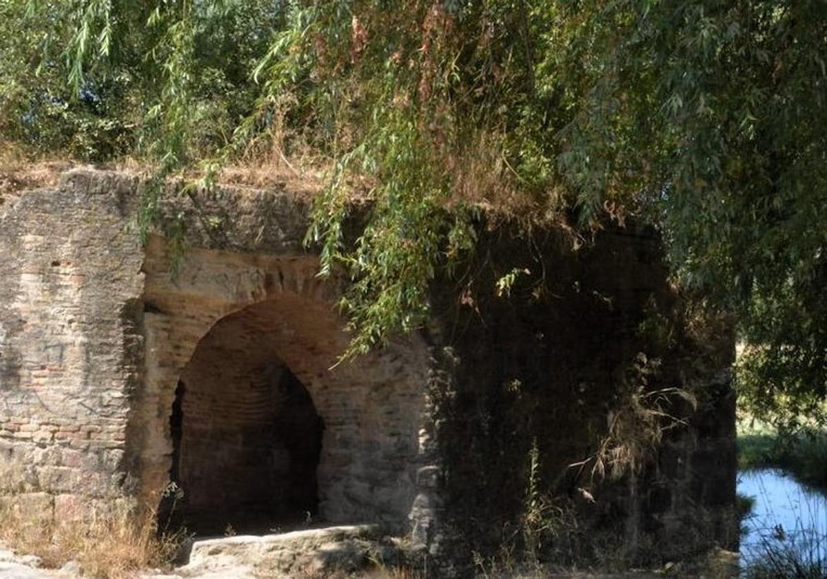 ESTADO ACTUAL DEL MOLINO DE LAS ACEÑAS.