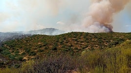 PARAJE DONDE SE HA PRODUCIDO EL FUEGO DE HOY MARTES.