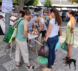 Recogida de firmas en el mercadillo ambulante de la ciudad.
