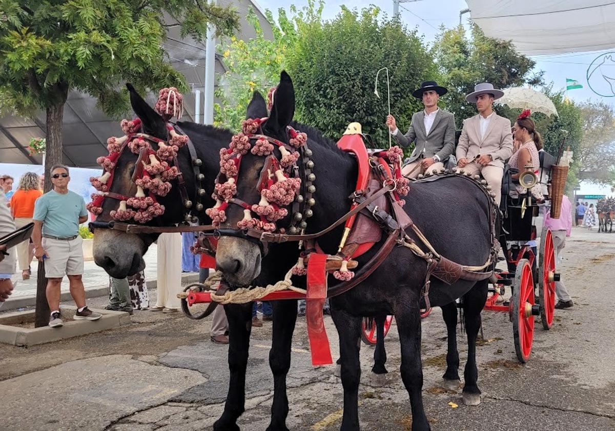 ENGANCHES RECORREN EL FERIAL HOY DOMINGO.
